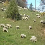 Farm Hohe Drei Zinnen *