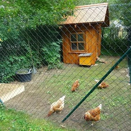 Farm Hohe Drei Zinnen Сasa de vacaciones